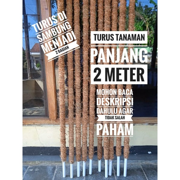 Turus Tanaman 2 Meter - Turus Pipa Tanaman 2 meter