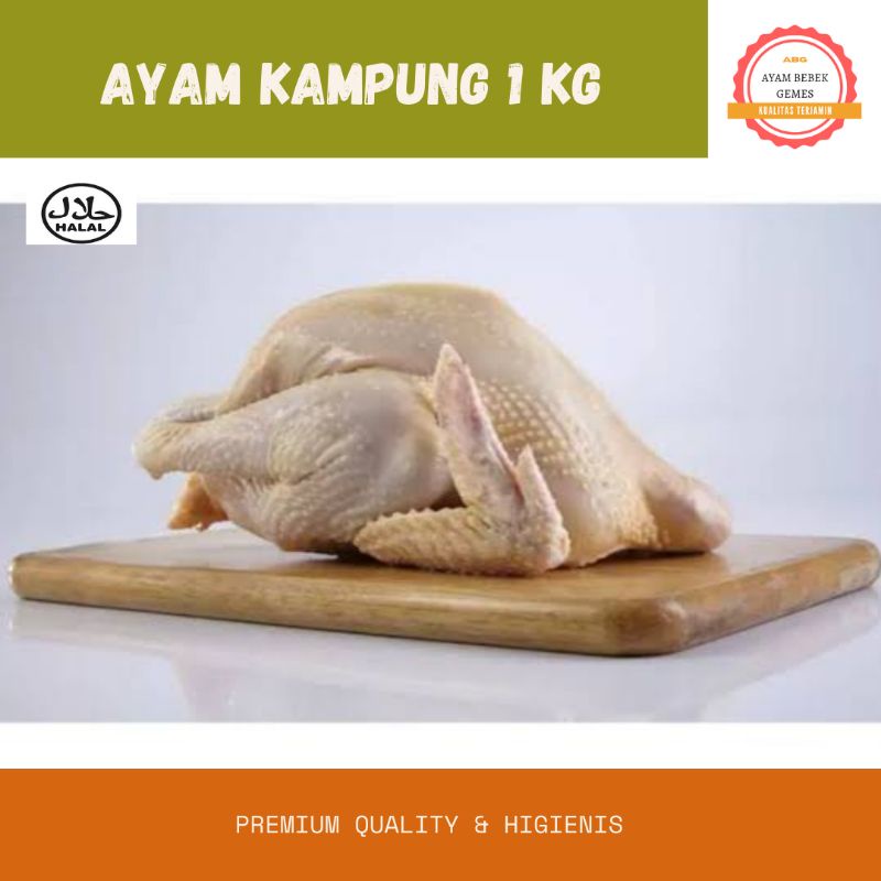 

Ayam kampung seger Terlaris