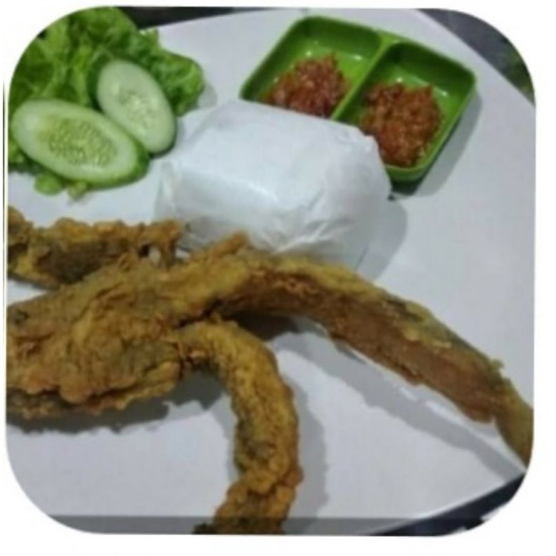 

Lele Terbang
