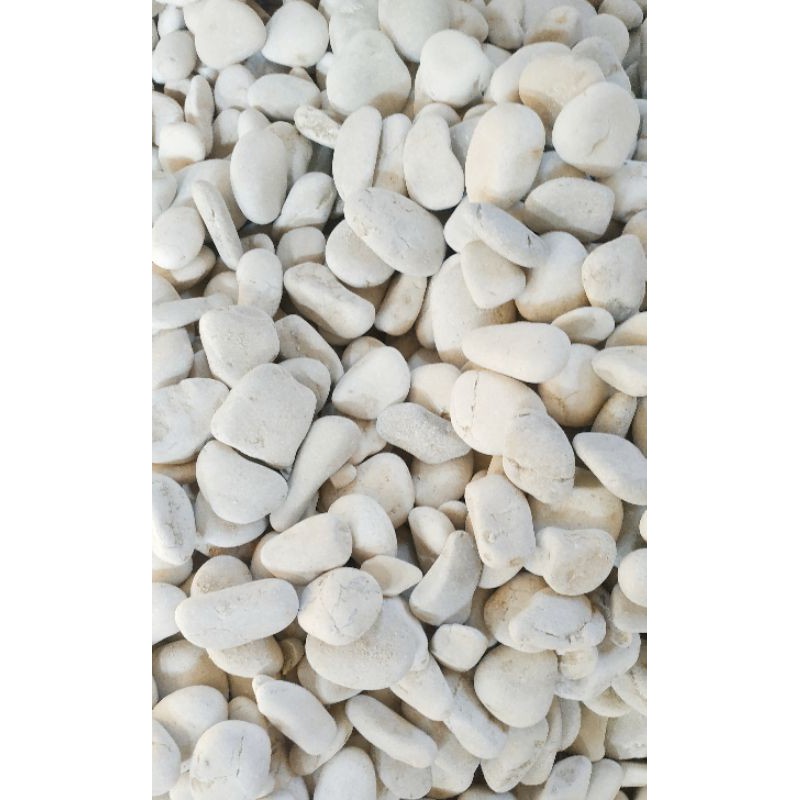 batu koral putih Kupang ,batu putih koral ,batu koral taman minimalis, aquarium 10kg 25.000/10kg