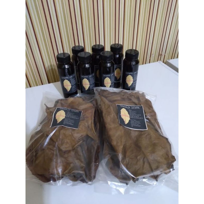 Daun ketapang/ Daun ketapang kering/ Daun ketapang cupang/ Daun ketapang olahan