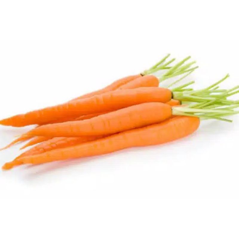 

sayur2an fresh segar