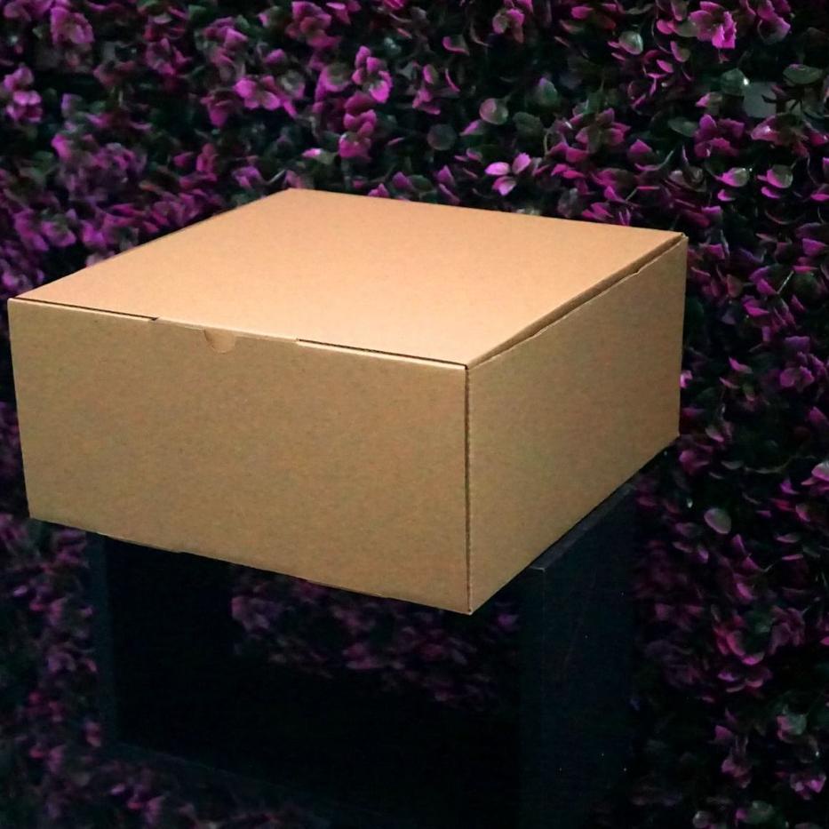 

HR6⋆ Kotak Packaging Polos Tinggi 25 x 25 x 12 cm - Pizza Box - Bentuk Kotak TOP PRODUK