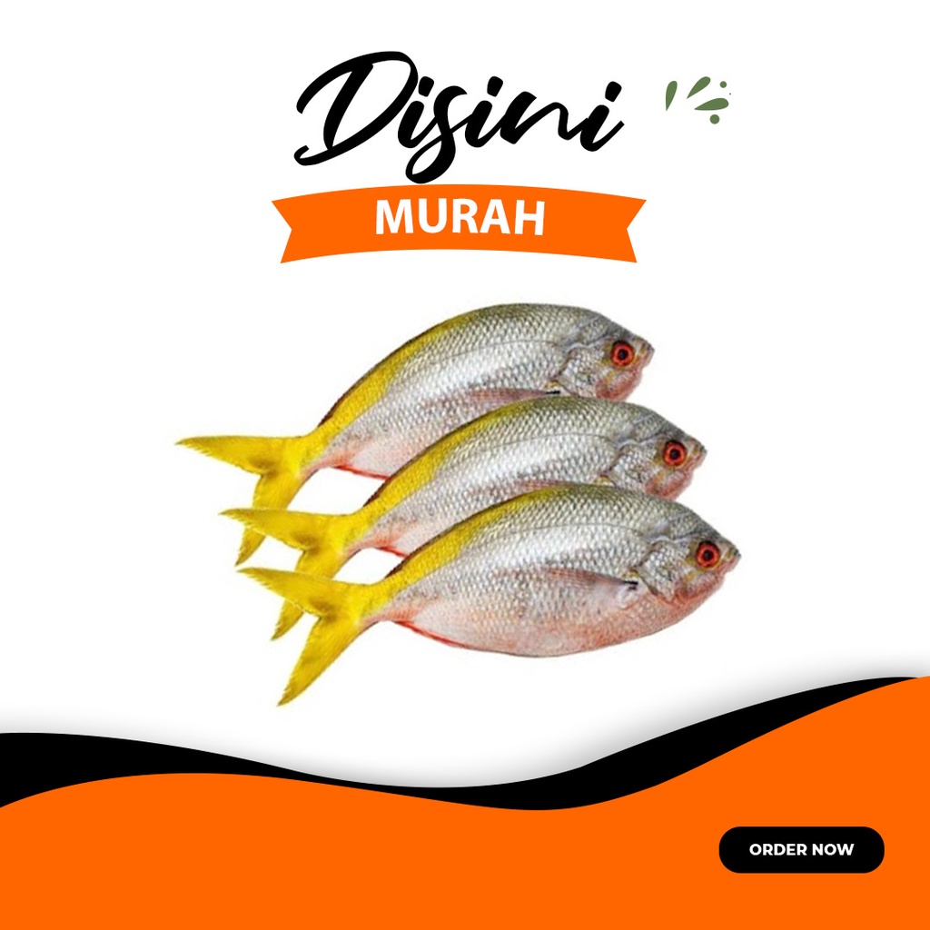 

ikan ekor kuning per 500gr