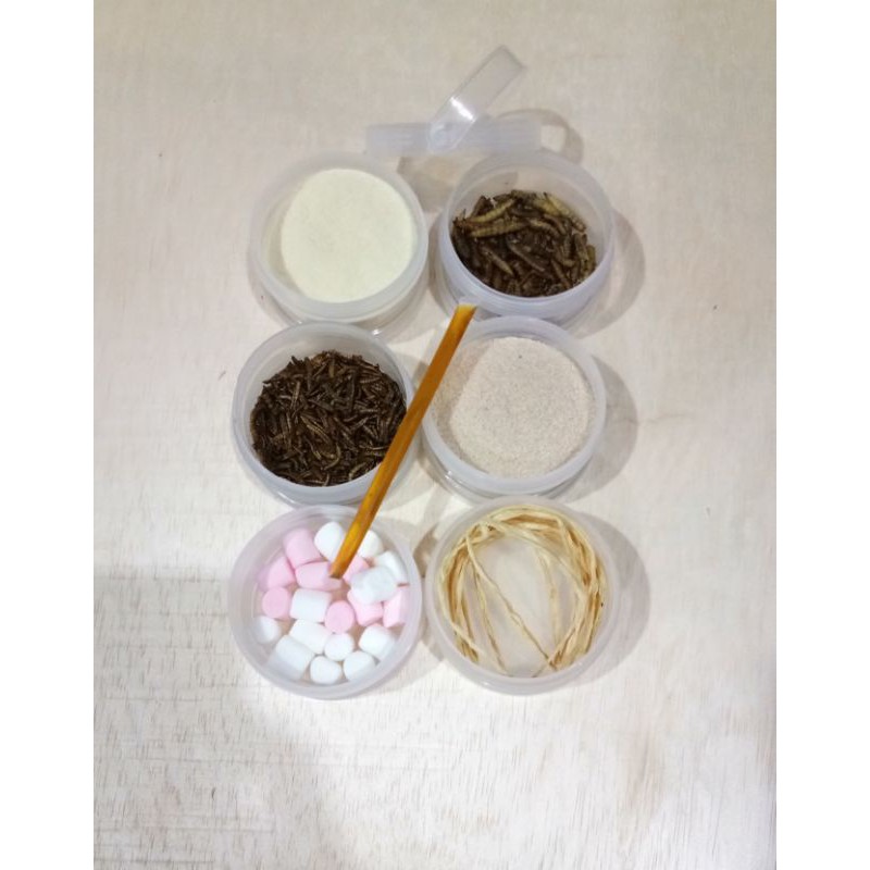 MAKANAN SUGAR GLIDER - PAKET PAKAN SG