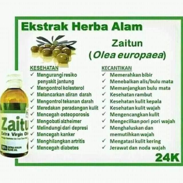 Stokis Hni Hpai Minyak Zaitun Evo 60ml