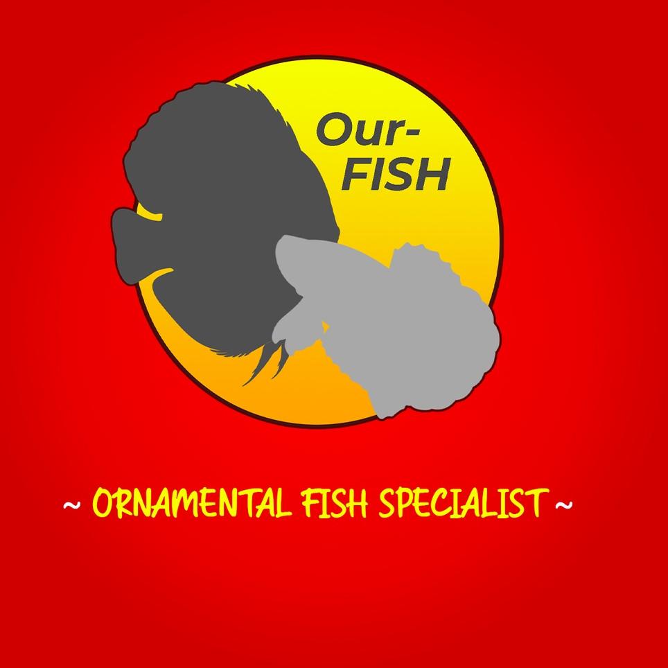 TERLARIS Pelet Ikan Arwana REDFISH Makanan Pakan Ikan Arwana Super Red Golden Red Silver Red Jardini