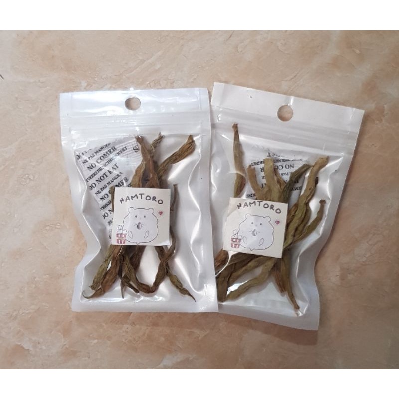 Dehydrated Green Beans Snack Hamster/Marmut Sayur Buncis Kering