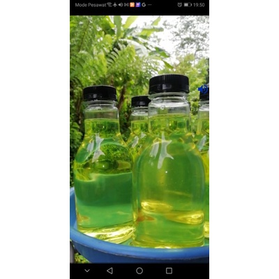 

minyak kelapa murni, minyak klentik(bisa COD ya) .