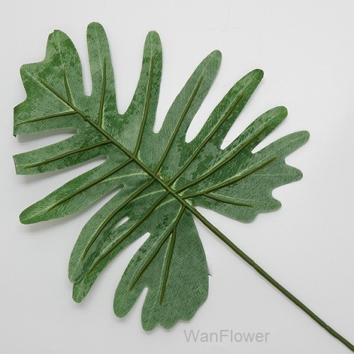 WANFLOWER Daun Xanadu (perLusin)