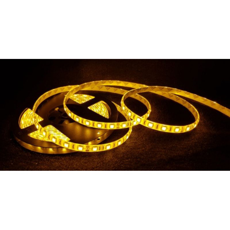 FLEX STRIP SMD 5050 24 V 5 meter