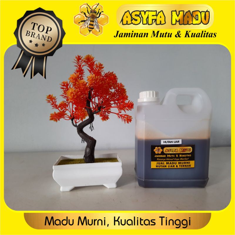 

madu hutan liar murni apis dorsata kemasan 1 kg