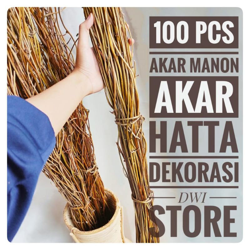 AKAR MANON ISI 100 BIJI AKAR MENTAU DEKORASI PERNIKAHAN  RING RUSTIC RUSTIK PLINTIR EL