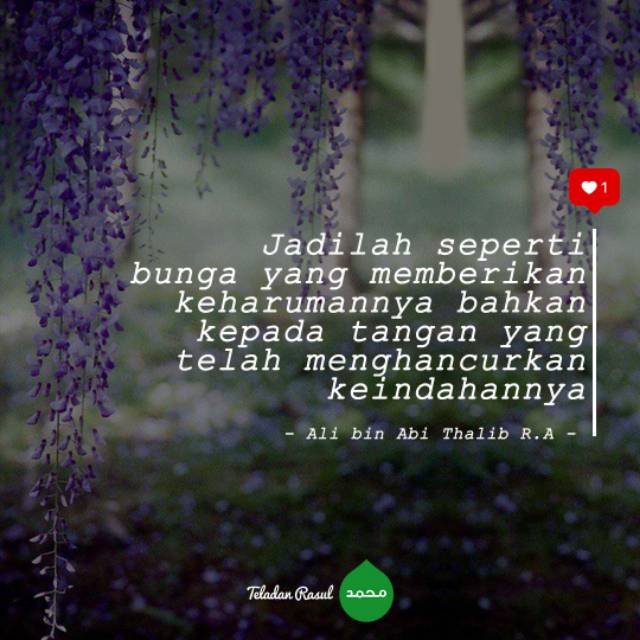 dute_dur_i