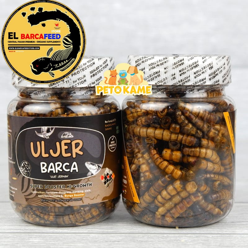 ULJER BARCA 40 gr | ULAT JERMAN Pakan Ikan Predator Channa Kura Gecko