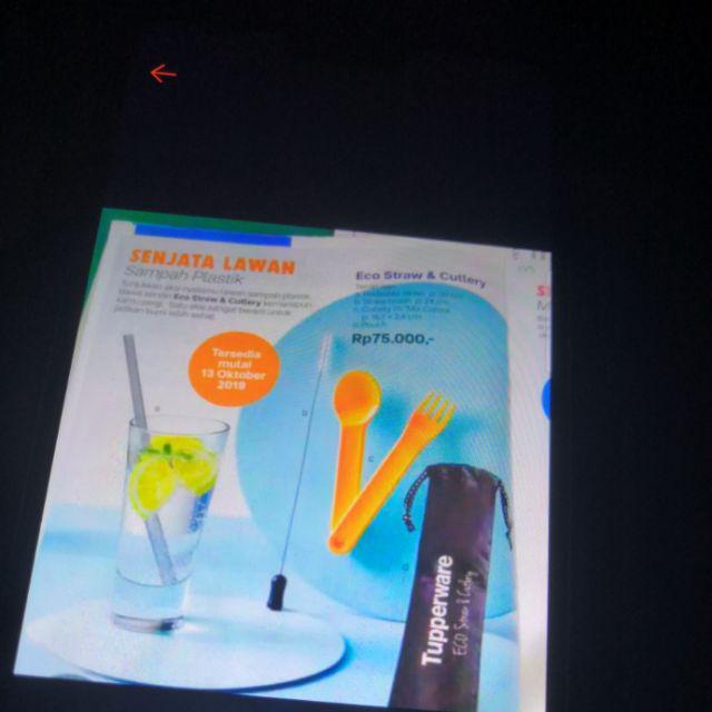 Eco Straw N Cutlery Ori Tuppy (warna Random)