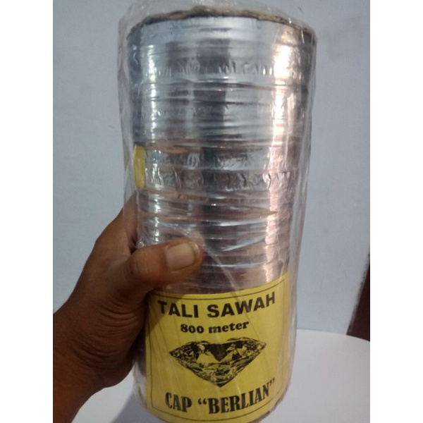 Tali Plastik Perak pengusir burung Pipit di sawah