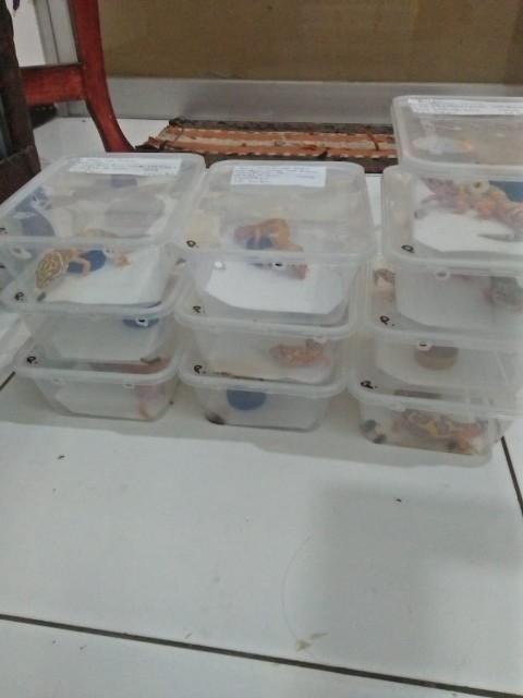Sprei Homemade