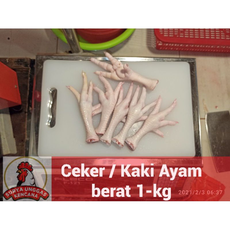 

CEKER /KAKI AYAM [ ORDER 1-KG ]