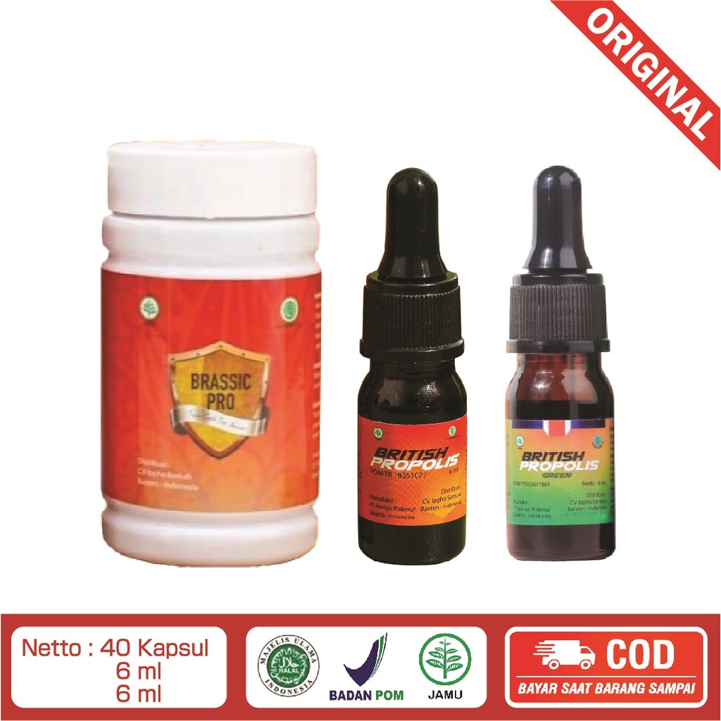 Paket Sehat 3 Botol Suplemen Herbal Sejuta Manfaat Brassic Pro British Propolis Pengapuran Tulang Pe