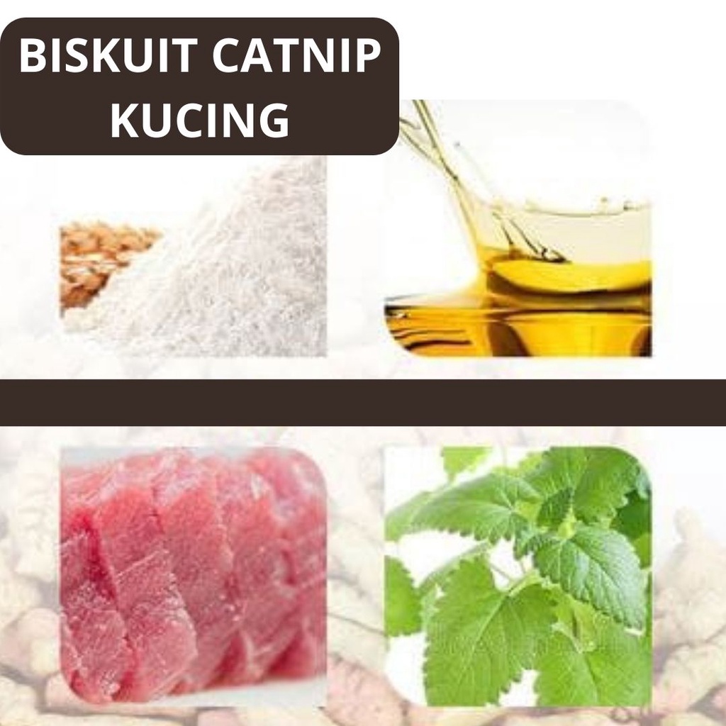 Snack Biskuit Catnip Dengan Aneka Rasa Khusus Buat Kucing FEZONE