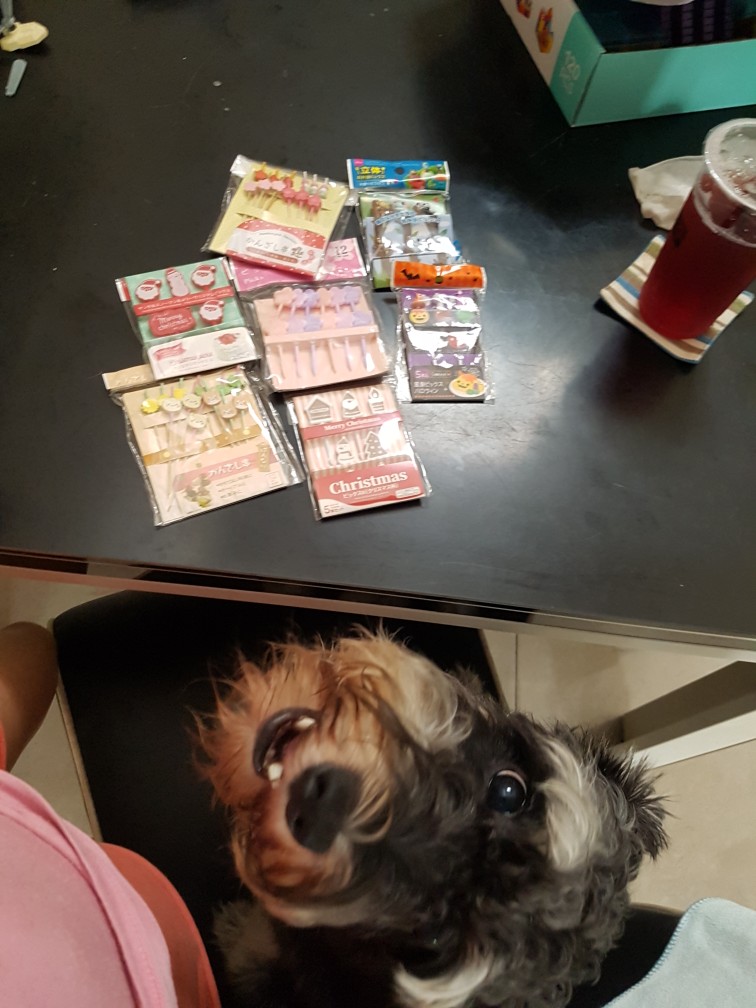 (original) Lunch Picks - Climbing Animals