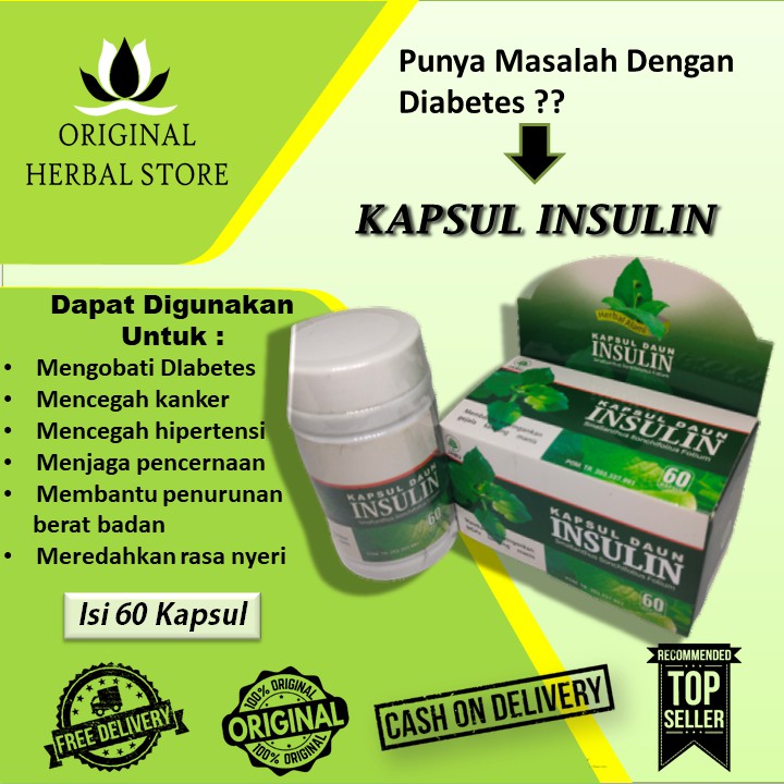 Kapsul Insulin - Obat Herbal Diabetes - Herbal Diabetes - Kapsul Insulin Bpom - Anti oksidan