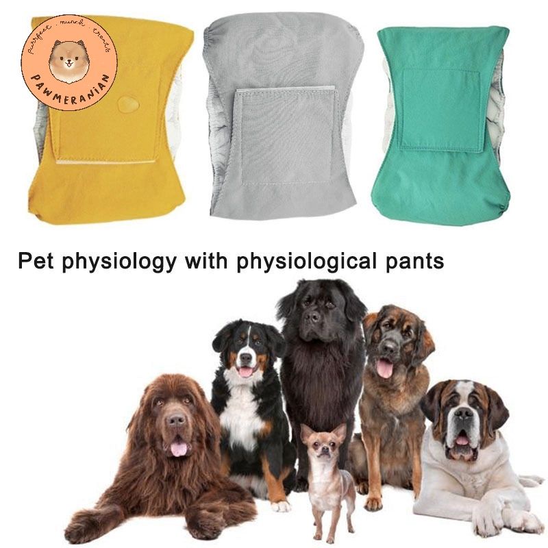 Manner belt / popok anjing jantan reusable