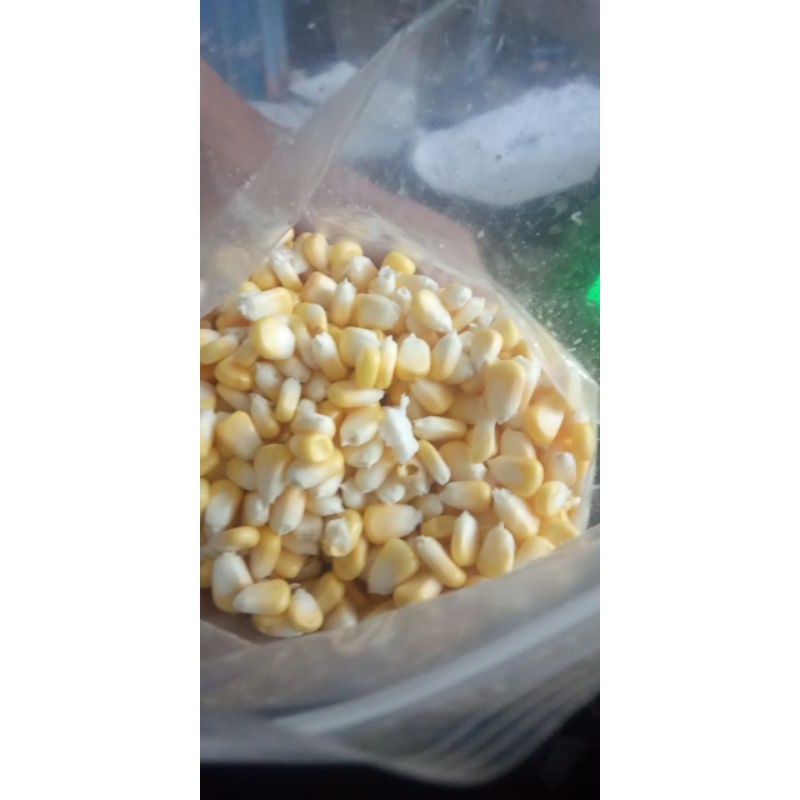 Jagung Manis pipil 1kg super murah