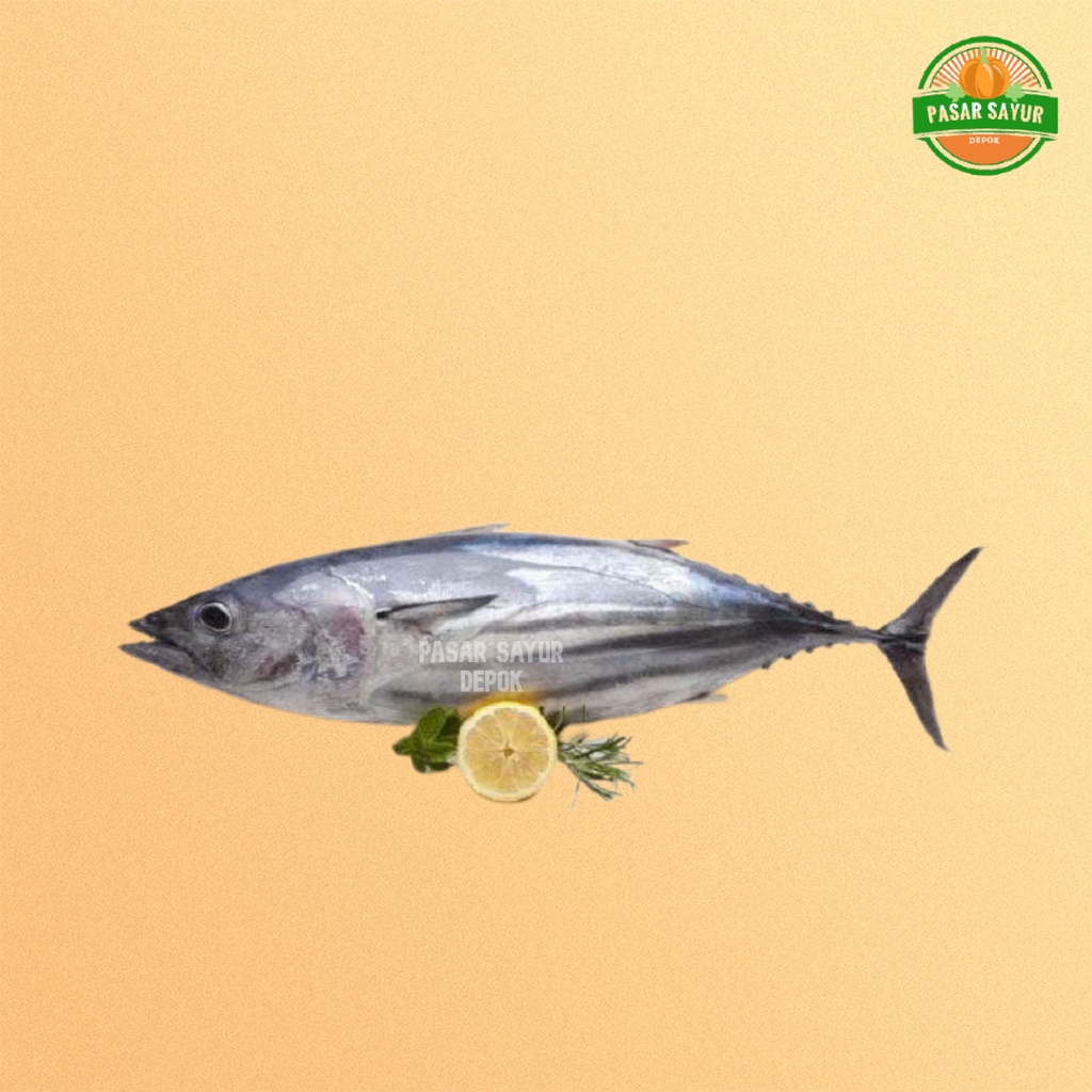 

Ikan tongkol segar dan bersih 500 gram