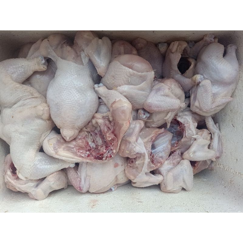 

ayam ekoran