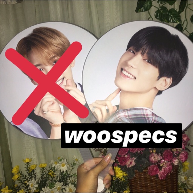 IDEAL CUT OFFICIAL IMAGE PICKET - WONWOO ONLY