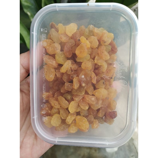 

Kismis Manis Madu 100gram