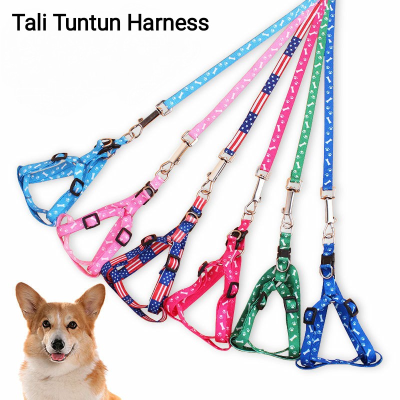 Tali Tuntun Dengan Harness Untuk Anjing dan Kucing  / Pet Cat Dog Leash