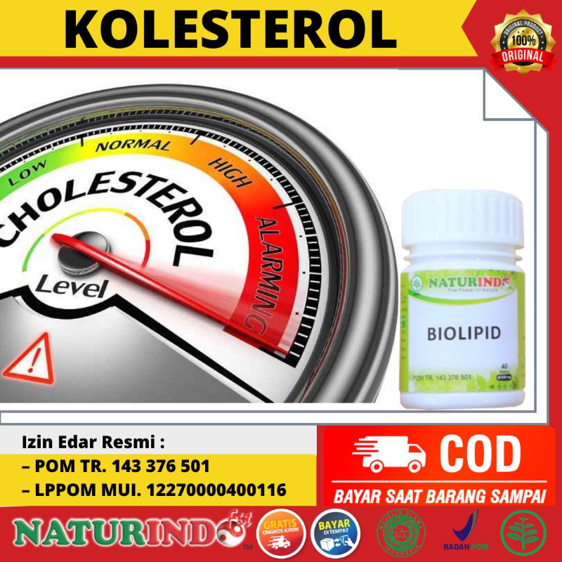 Obat Kolesterol Herbal Penurun Kolesterol Lemak Darah Nyeri Punggung Penghilang Lemak