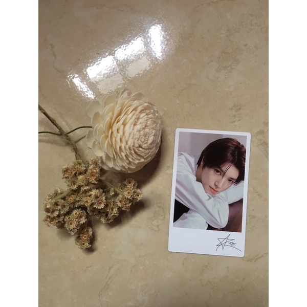 Polaroid Nature Republic Nct127