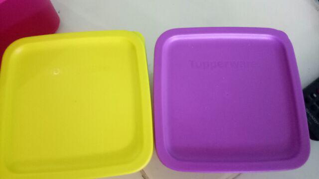 Small Summer Fresh Ecer