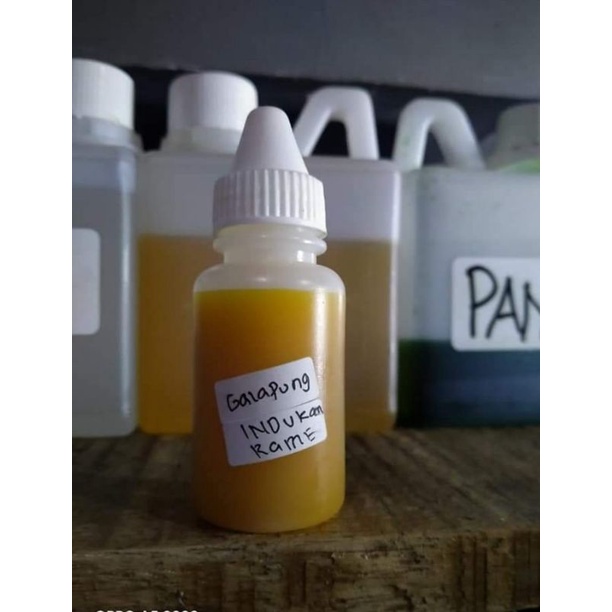 essen oplosan durian kaweni 30ml kadal jaya bandung essen oplosan spesial umpan ikan mas 100% origin