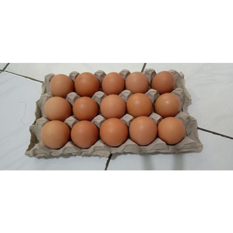 

Telur Ayam Negeri isi 15 butir ( +/- 1 kg )