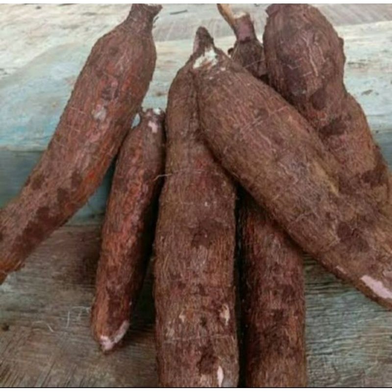 

buah singkong keju/singkong kuning/1kg