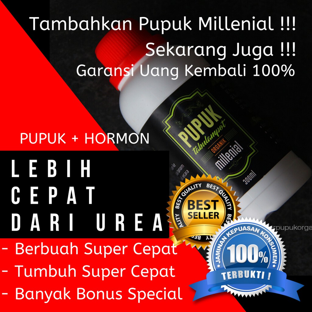 Pupuk Urea Rumput, Pupuk UREA NPK, Pupuk Urea Subsidi, Pupuk Urea Non Subsidi, Pupuk Urea Putih