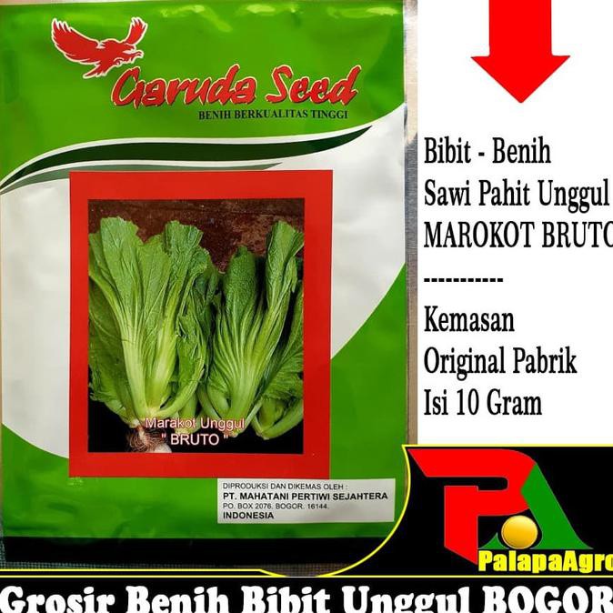 Produk Ready Bibit Benih Sawi Pahit Marokot Bruto 10Gram