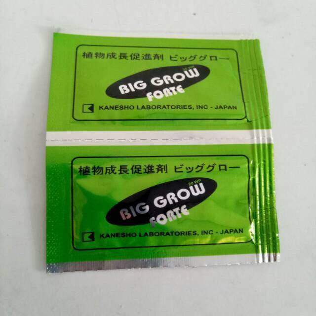 Zpt BIG GROW FORTE. 20WP (20ltr)