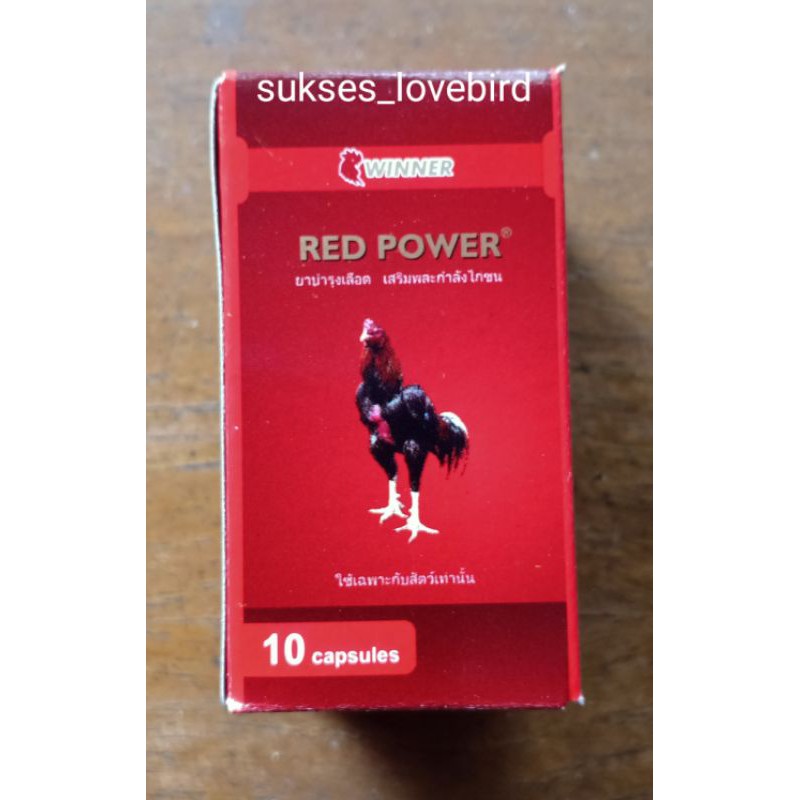 Vitamin Ayam Adu Red Power 10 kapsul