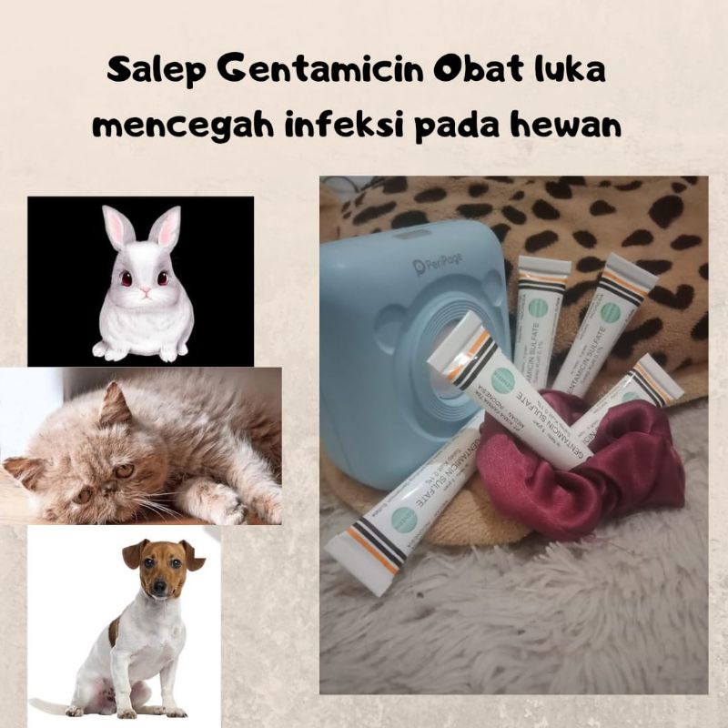 Jual Obat Luka Kucing Salep Luka Infeksi Kulit Shopee Indonesia