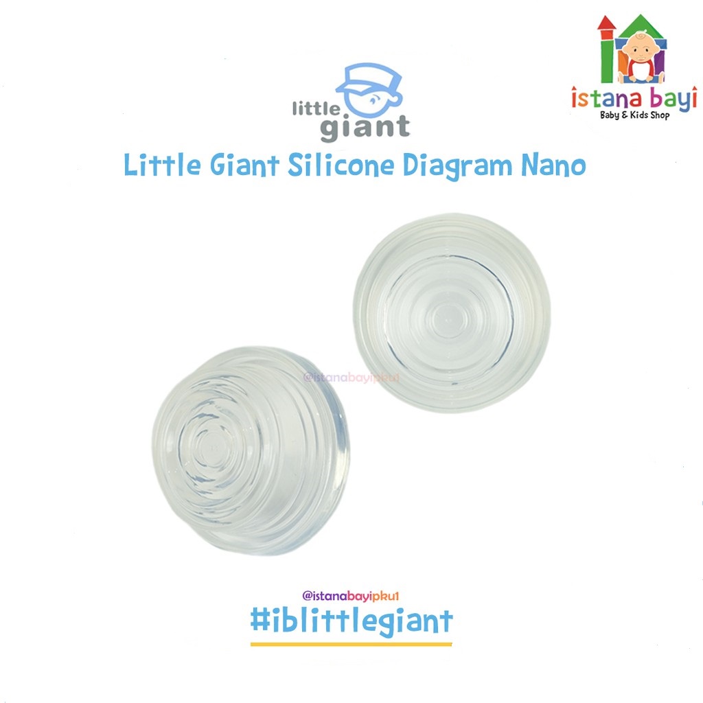 Little Giant Diagram Nano &amp; Nova / Diapgram Emily