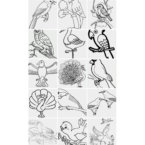 

Kertas Gambar Sketsa Hewan Burung Untuk Mewarnai Anak TK