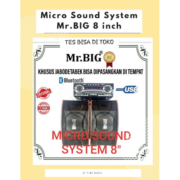 Micro Sound System Mr. BIG 8" / Mikro Karaoke Bluetooth Mr. BIG 8 Inch