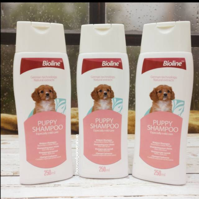 Shampo anak anjing . Bioline puppy shampo mild care