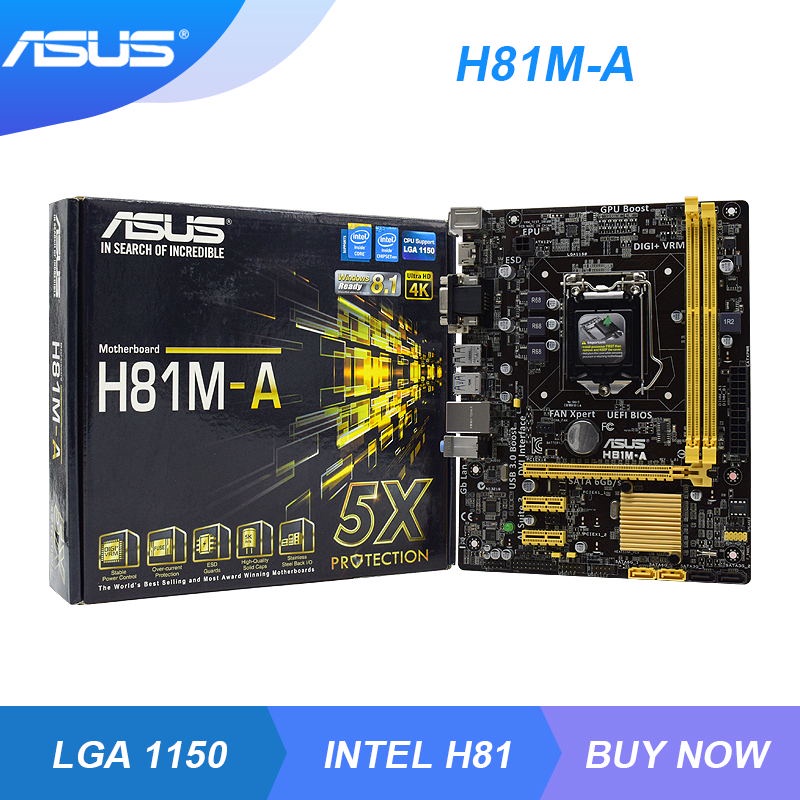 PREORDER ASUS H81M-A Motherboard Set Motherboard 1150 Intel H81 DDR3 Support Kit Xeon E3 1245 V3 Cpu